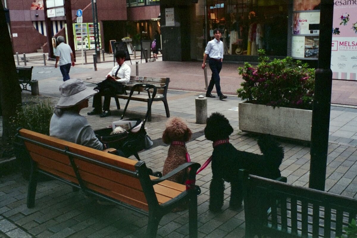 Encounter Things 29 - Jiyugaoka,Tokyo