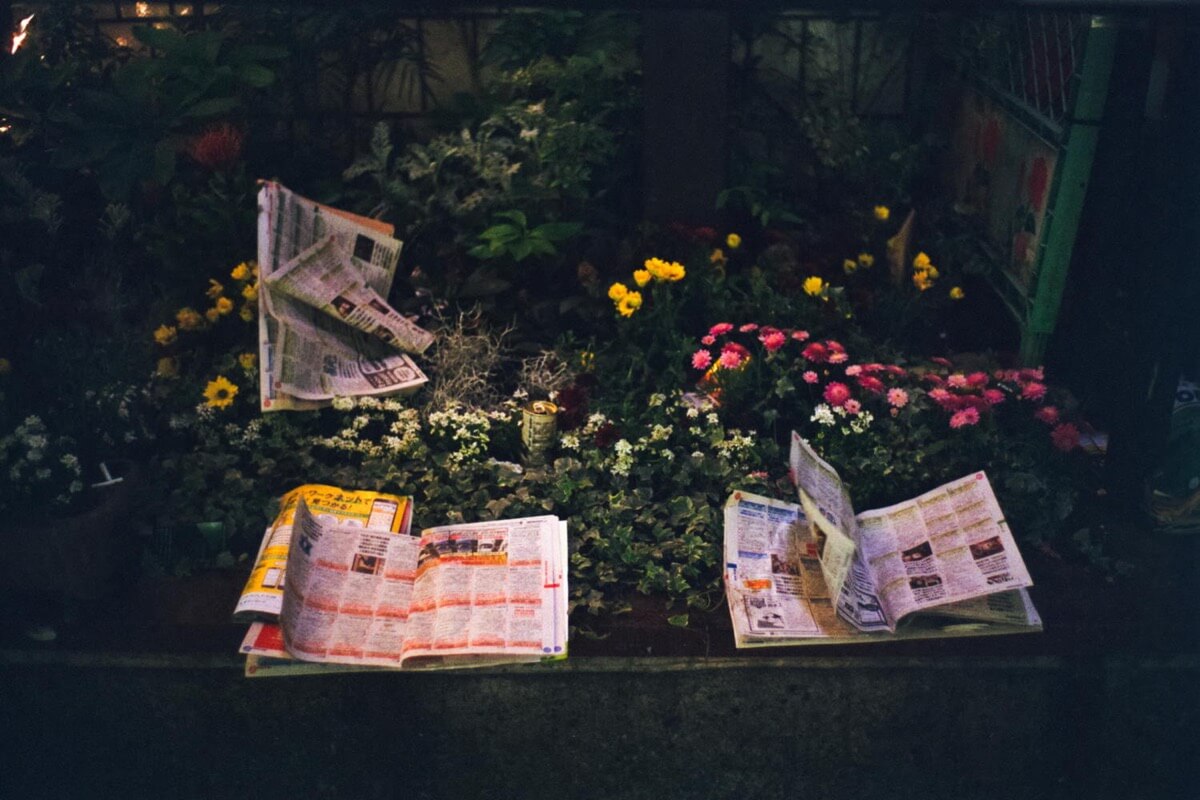 痕跡のある夜の花壇