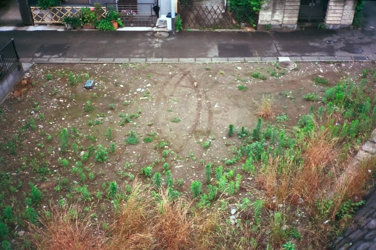 雨上がりに残る痕跡