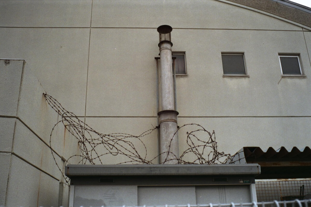 創作したがりな有刺鉄線