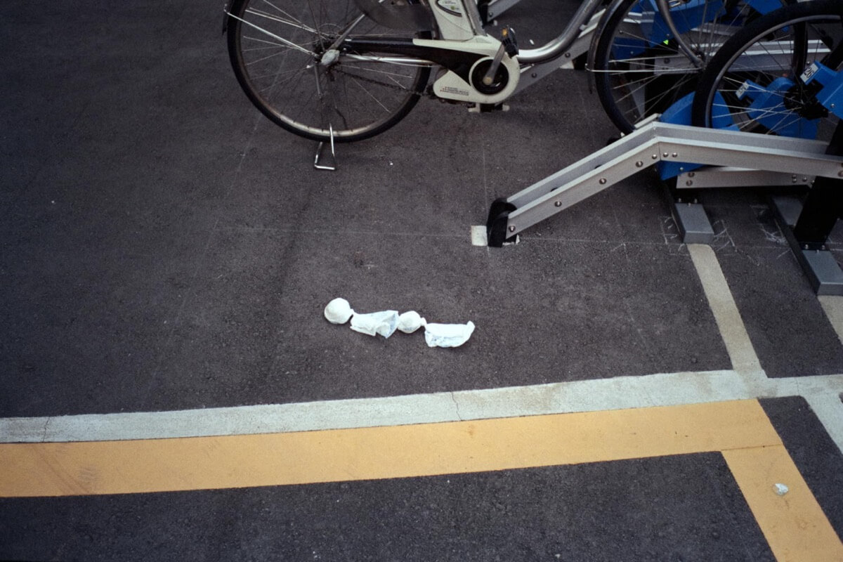 打ち上げられた兄弟