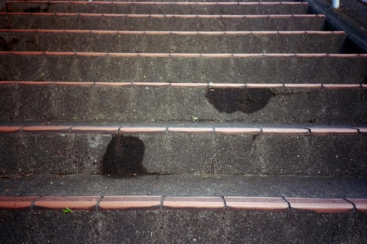 ゆっくりと追跡する形