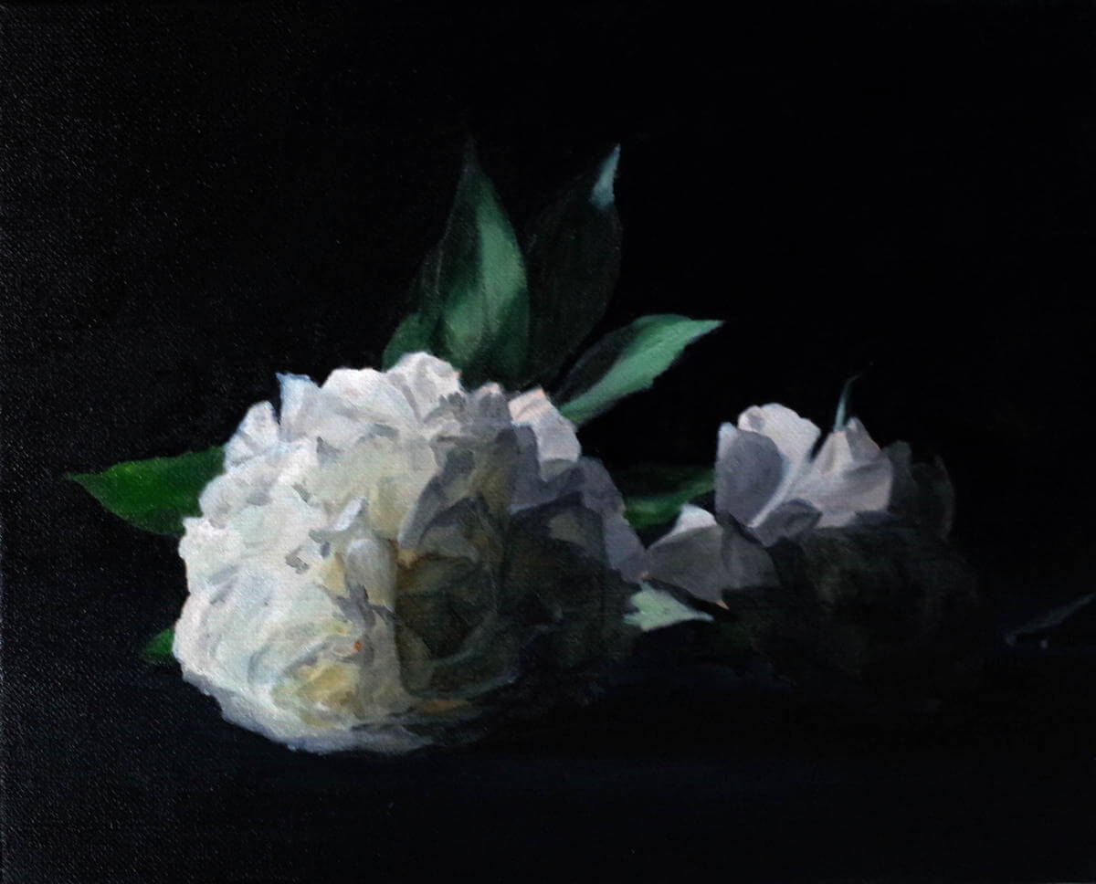 白いシャクヤク-White Peonys/220x273mm/Oil on canvas/2020